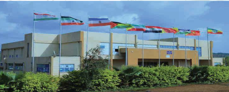 Institutional Projects